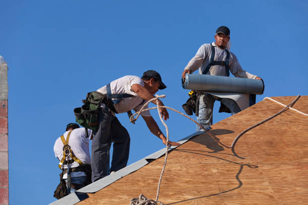 Roof Gutter Cleaning in Stanton, TX