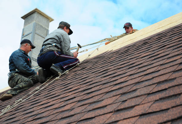Roof Gutter Cleaning in Stanton, TX